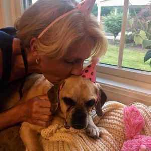 Meet your Posher, Anne